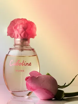 Fragrance